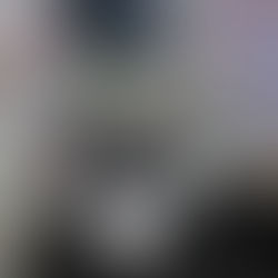 Lizard Squad member arrested?