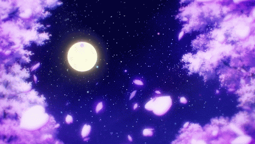 c76bd053b15bad840c0c8df71e4ebe69.gif