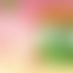 NEW KFC MENU FRIENDLY DIET?!