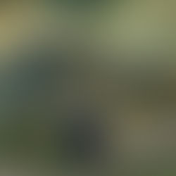 Elden Ring is the Pinnacle of Open-World RPGs