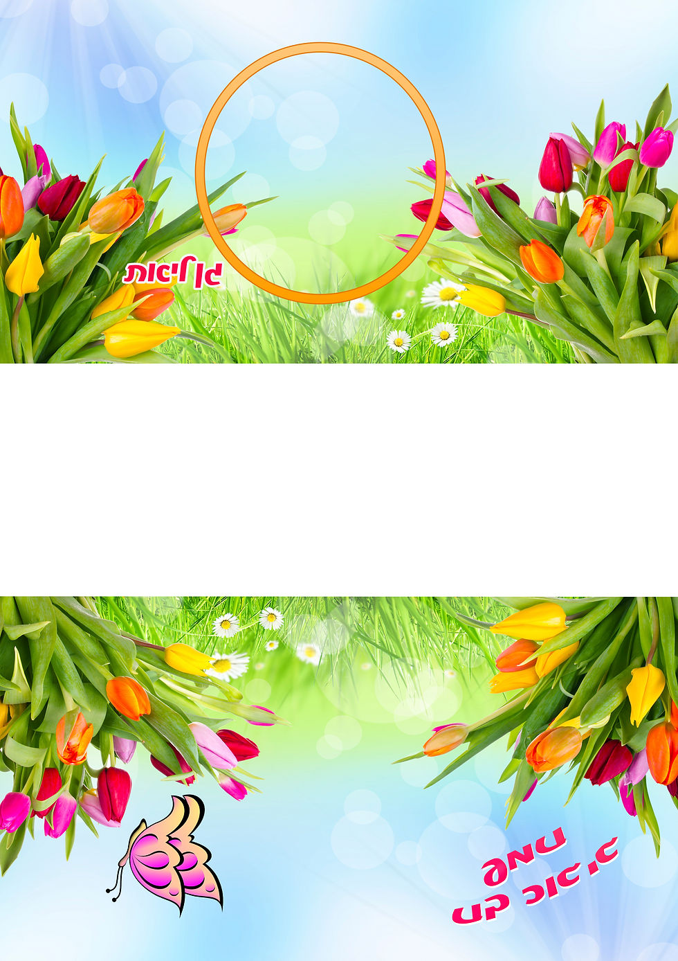 תמונה ממוזערת: מעמד מצות 