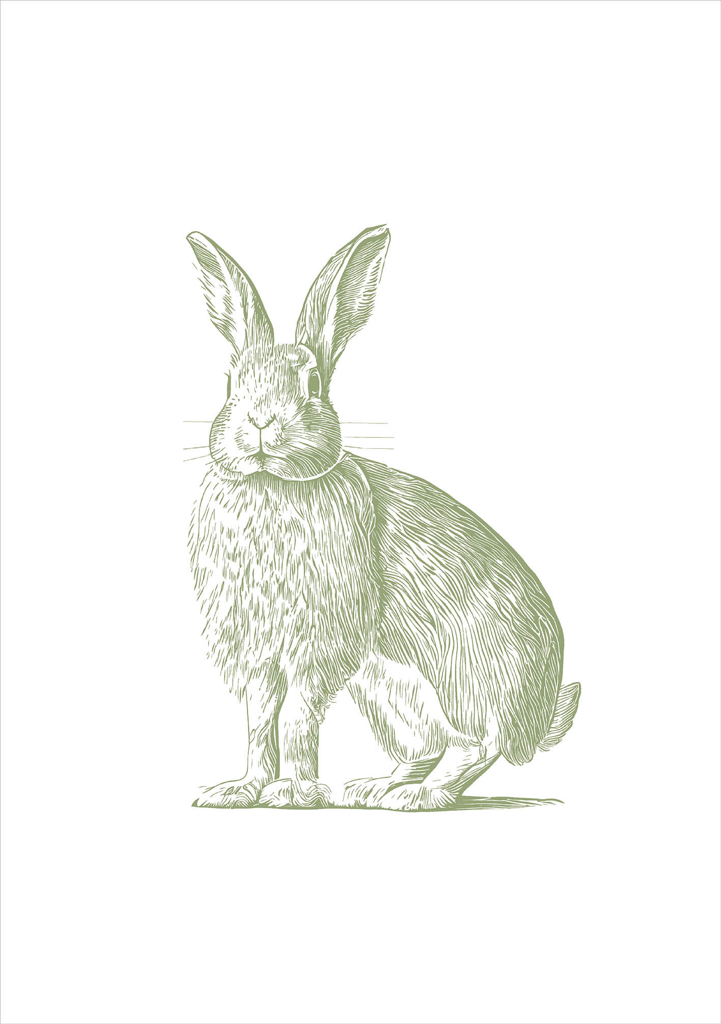 Tea Towel - Green Plain Rabbit