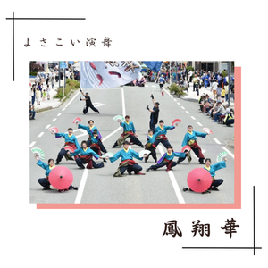 鳳翔華