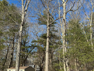 Work Around The Homestead