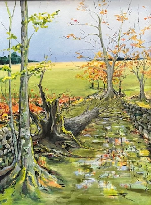 Fallen Tree Galloway.jpg