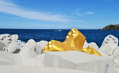 acropode-1-copie-1024x627.jpg