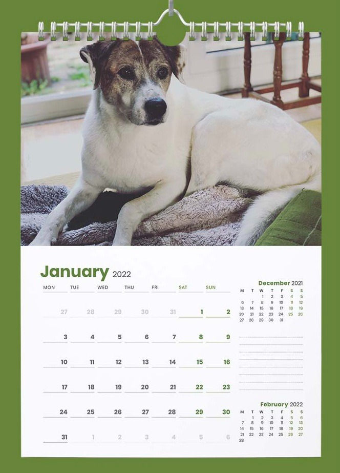 Thumbnail: The Goode Life UK 2024 Calendar