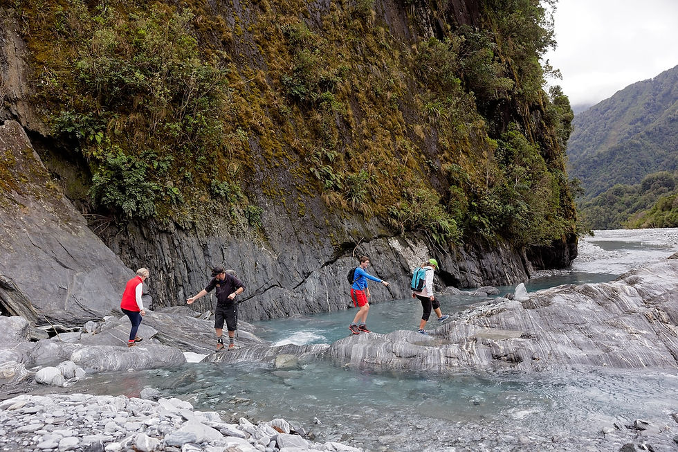 Hikers Crossing A Glacial River On A Guided Nature Tour Franz Josef Glacier Valley Walk With Glacier Valley Eco Tours