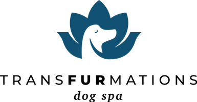 transfurmation-logo-stacked.png