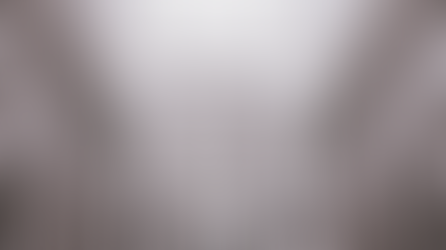 LUXURY ON TRIAL: HERMÈS’ SUCCESSFUL QUEST TO PROTECT ITS ICONIC IDENTITY