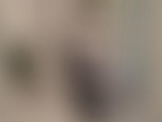 Peluquería Segundo - A Coruña