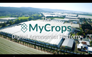 MyCrops Digital Agronomist.png