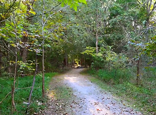 trail.jpg