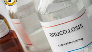 03/20/26 Public Health Education Topic: Brucellosis