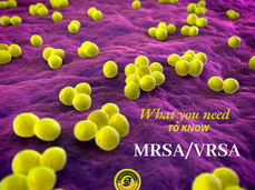 1/16/2026 Public Health Education Topic: MRSA/VRSA