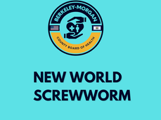 04/17/26 Public Health Education Topic: New World Screwworm