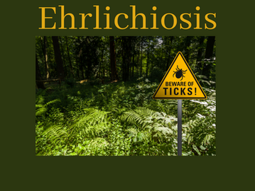 02/28/25 Public Health Education Topic: Ehrlichiosis