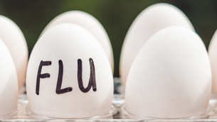 9.8.26 Public Health Education Topic: Avian Influenza