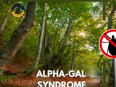 03/06/26 Public Health Education Topic:  Alpha-Gal Syndrome 