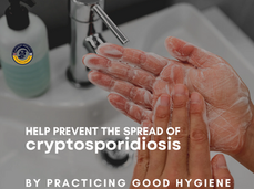 05/09/25 Public Health Education Topic: Cryptosporidium (Crypto)