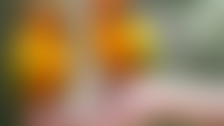 04/24/26 Public Health Education Topic: Psittacosis