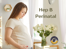 05/22/26 Public Health Education Topic: Hepatitis B Perinatal