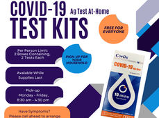 FREE Covid-19 Test Kits for At-Home Use Available