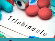 06/03/25 Public Health Education Topic: Trichinosis
