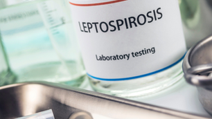 04/07/26 Public Health Education Topic: Leptospirosis