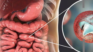 07/10/26 Public Health Education Topic: Cryptosporidium