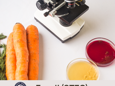 05/27/25 Public Health Education Topic: STEC