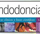 ANATOMIA DENTAL.png