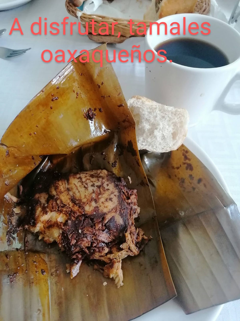 WhatsApp Image 2024-04-25 at 6.53.54 PM (2).jpeg