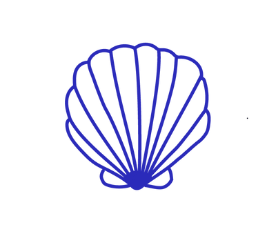 shell illustration.png