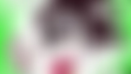 Live spécial webtoon