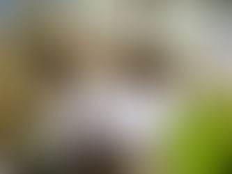 REGULAMENTO DO FESTIVAL DE COROS DE PENEDO 2022