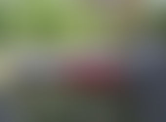 Відзначення Дня Державного прапора України та 28-ї річниці незалежності України в дошкільному заклад