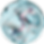 Arn inside.png