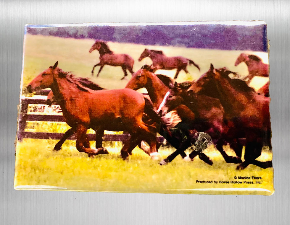 2”x3” Magnet “A field of horses”