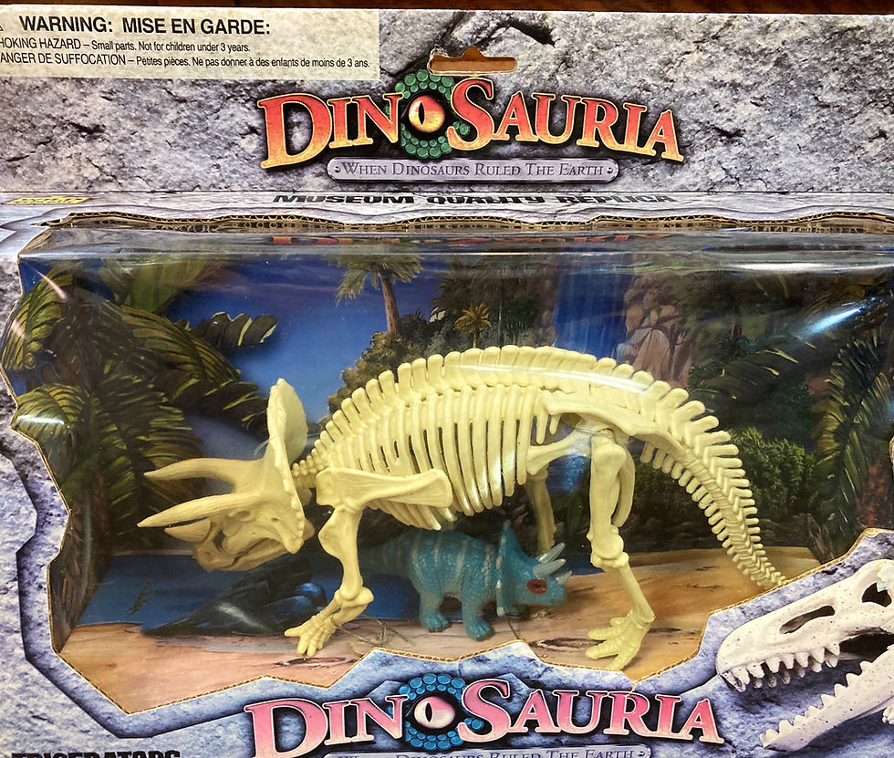 Dinosauria Triceratops museum quality