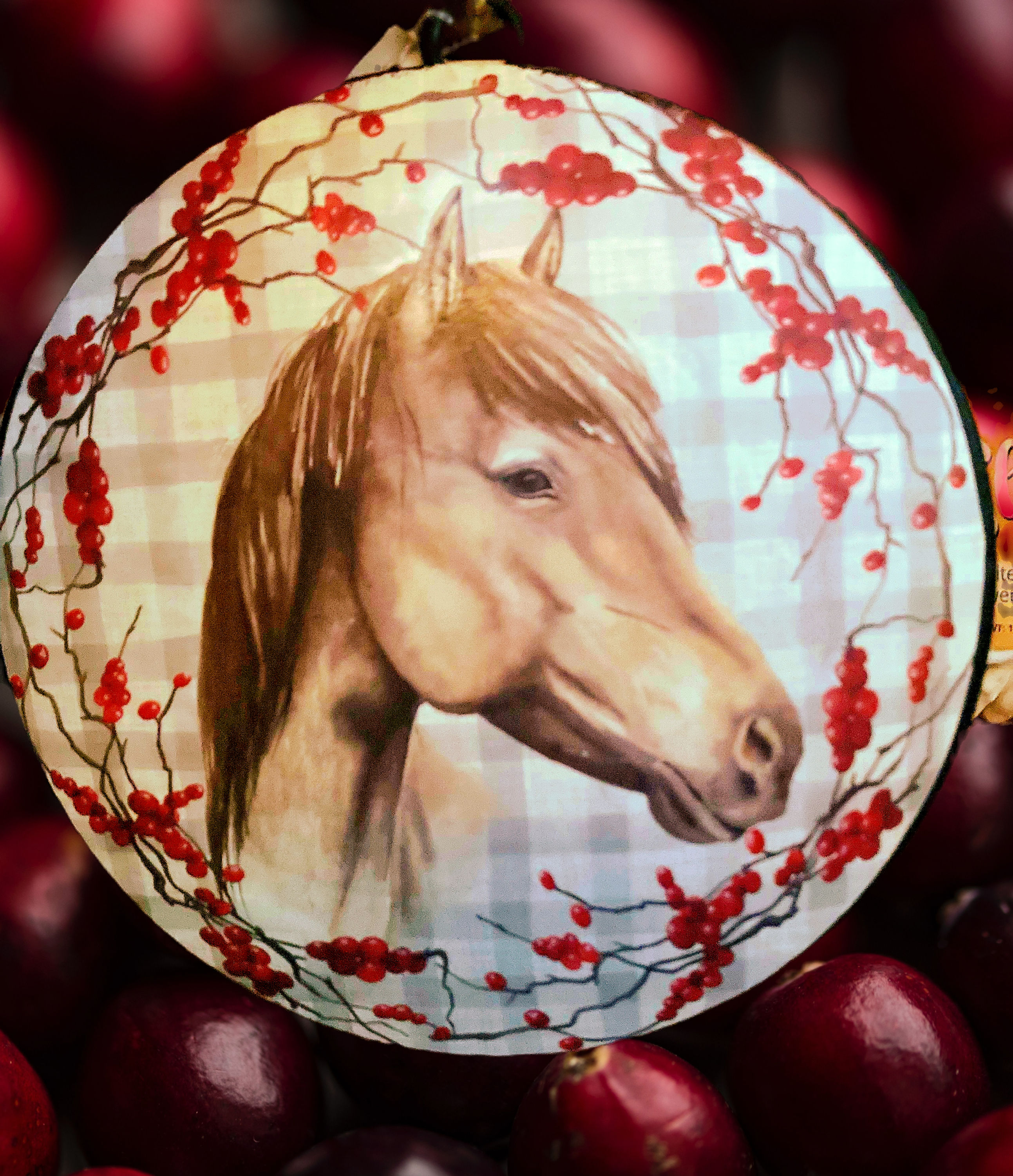 Stunning 6”x6” Horse hanging ornament