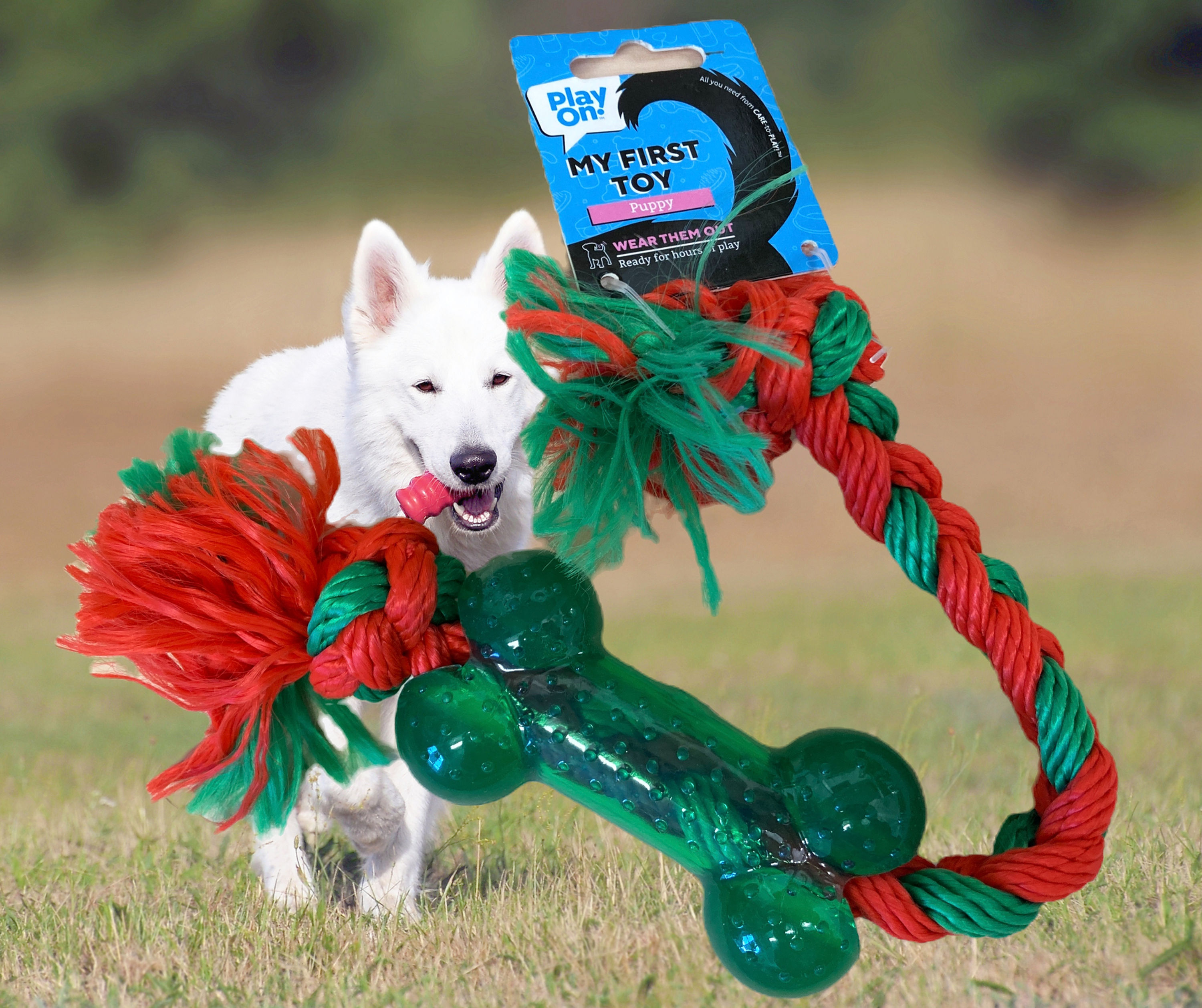 Puppy’s first Christmas dog toy