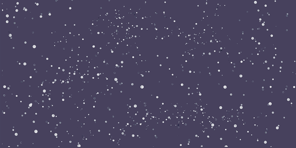 banière site accueil 1.png