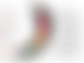 Capsaicina Vs escala Scoville