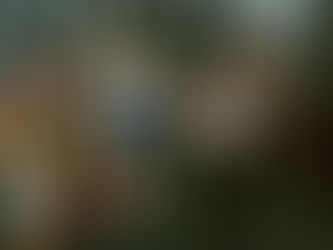 Tickets OPEN for Made in the West 2025Â