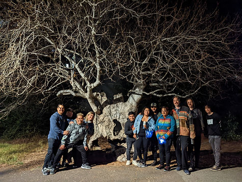 Group at tree.jpg