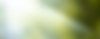 Subtle and ambient background showing sunlight shining through trees - information about massage techniques