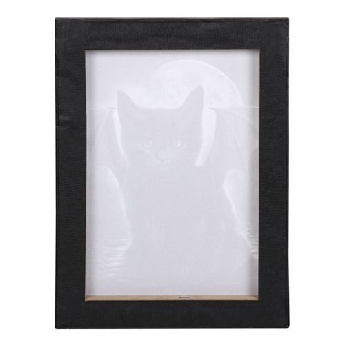 Thumbnail: 19x25cm Bat Cat Canvas Plaque by Spiral Direct
