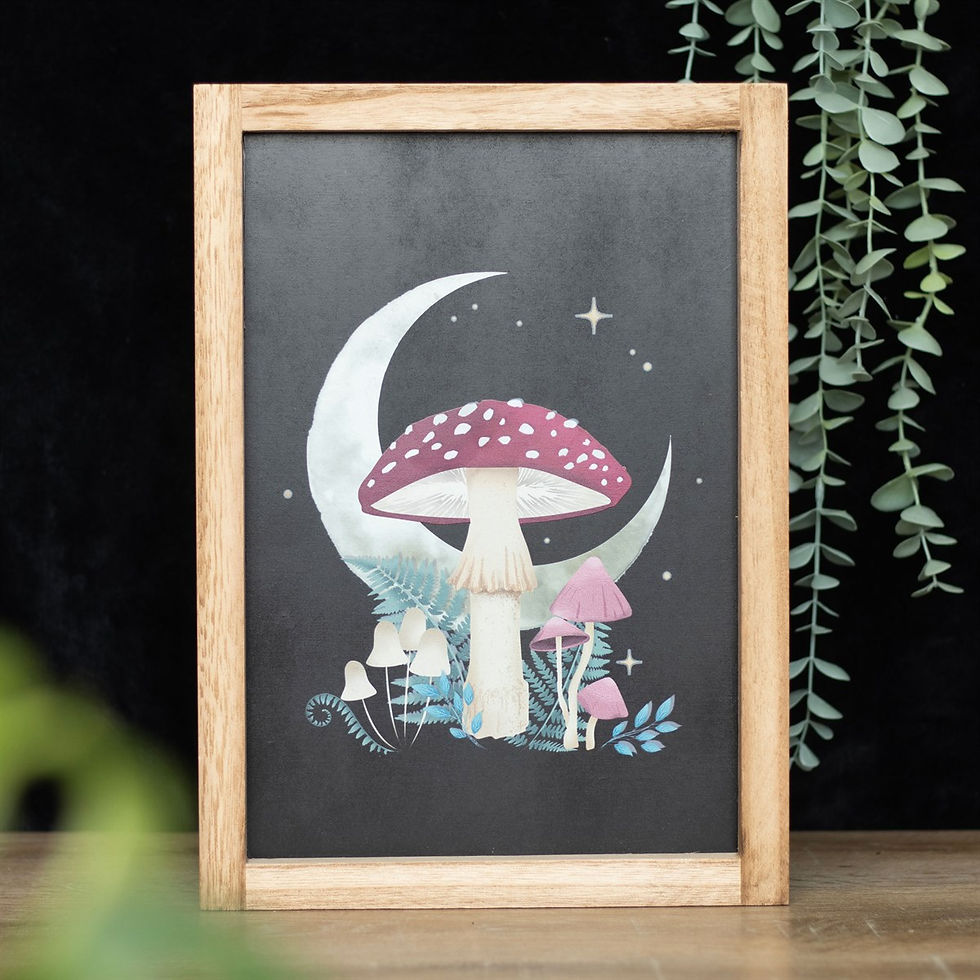 Thumbnail: FOREST MUSHROOM FRAMED WALL ART PRINT