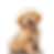 777.png
